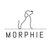 Morphie Network logo, Morphie Network contact details