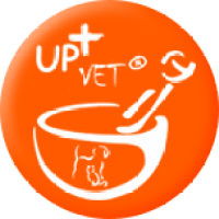 UpVet Curitiba logo, UpVet Curitiba contact details