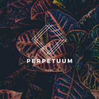 Perpetuum Films LLC logo, Perpetuum Films LLC contact details