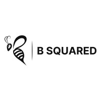 B (SQUARED) COMMUNICATIONS logo, B (SQUARED) COMMUNICATIONS contact details