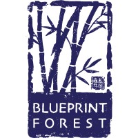 Blueprint Forest logo, Blueprint Forest contact details