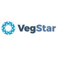 VegStar Assessoria em Informática logo, VegStar Assessoria em Informática contact details