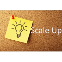 ScaleUp Services logo, ScaleUp Services contact details