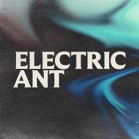 Electric Ant logo, Electric Ant contact details