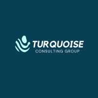 Turquoise Consulting Group LLC logo, Turquoise Consulting Group LLC contact details