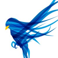 Blue Finch Film Releasing logo, Blue Finch Film Releasing contact details