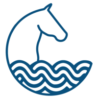 SEAHORSE DIGITAL GROUP logo, SEAHORSE DIGITAL GROUP contact details