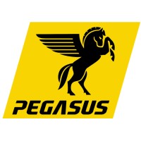 Pegasus logo, Pegasus contact details