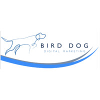 Bird Dog Digital Marketing logo, Bird Dog Digital Marketing contact details