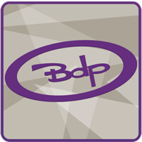 BDP Software-Ibernyx logo, BDP Software-Ibernyx contact details