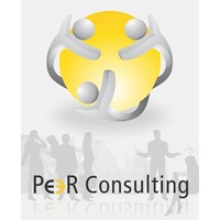 Peer Consulting India Pvt Ltd logo, Peer Consulting India Pvt Ltd contact details