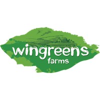 WINGREENS WORLD logo, WINGREENS WORLD contact details