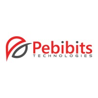 Pebibits Technologies logo, Pebibits Technologies contact details