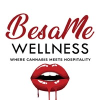 BesaMe Wellness logo, BesaMe Wellness contact details