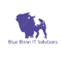 Blue Bison IT Solutions logo, Blue Bison IT Solutions contact details