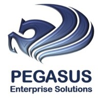 Pegasus Enterprise Solutions LLC logo, Pegasus Enterprise Solutions LLC contact details