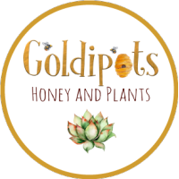 Goldipots logo, Goldipots contact details