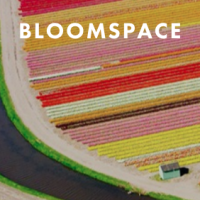 Bloomspace LLC logo, Bloomspace LLC contact details