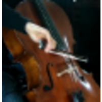 Musician, cellist logo, Musician, cellist contact details