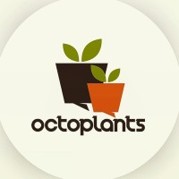 Octoplantsph logo, Octoplantsph contact details