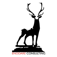 Enodare Consulting, Inc. logo, Enodare Consulting, Inc. contact details