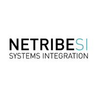 Netribe Systems Integration S.r.l. logo, Netribe Systems Integration S.r.l. contact details