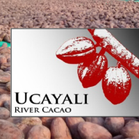 UCAYALI RIVER CACAO logo, UCAYALI RIVER CACAO contact details