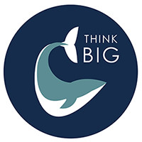 Think BIG Nonprofit Consulting logo, Think BIG Nonprofit Consulting contact details