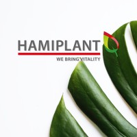 Hamiplant BV logo, Hamiplant BV contact details