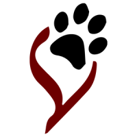 Heart Dog Portraits, LLC logo, Heart Dog Portraits, LLC contact details