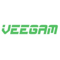 Veegam Software Pvt. Ltd logo, Veegam Software Pvt. Ltd contact details