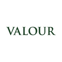 Valour Capital Management Inc. logo, Valour Capital Management Inc. contact details