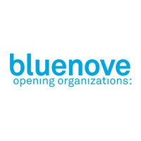 bluenove logo, bluenove contact details