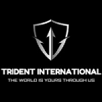 Trident Migration logo, Trident Migration contact details