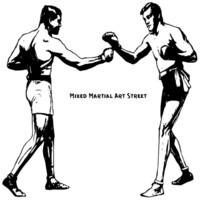 Mixed Martial Art Street Podcast logo, Mixed Martial Art Street Podcast contact details