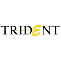 Trident Conglomerate logo, Trident Conglomerate contact details