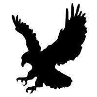 Nighthawk Flight Systems, Inc. logo, Nighthawk Flight Systems, Inc. contact details