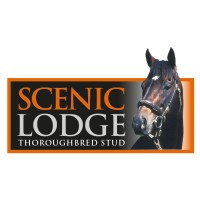 Scenic Lodge Thorougbred Stud logo, Scenic Lodge Thorougbred Stud contact details