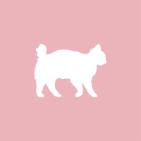 Rawrycat logo, Rawrycat contact details