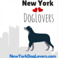 New York Dog Lovers logo, New York Dog Lovers contact details