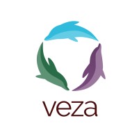 Veza Global logo, Veza Global contact details