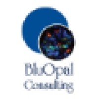 BluOpal Consulting LLC logo, BluOpal Consulting LLC contact details