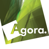 Agora Dealer Services Holding Corp. logo, Agora Dealer Services Holding Corp. contact details