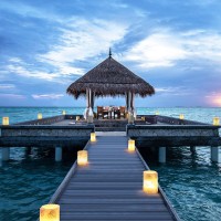 Maldives Hospitality Jobs logo, Maldives Hospitality Jobs contact details