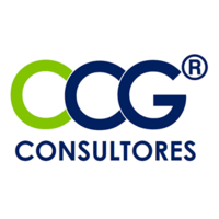 Castillo Consulting Group logo, Castillo Consulting Group contact details