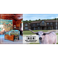 The Bison Farm BnB logo, The Bison Farm BnB contact details