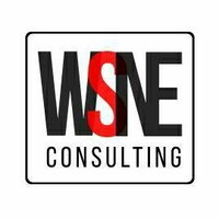 WSNE Consulting logo, WSNE Consulting contact details