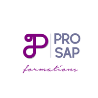 pro sap formations logo, pro sap formations contact details