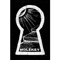 MOLEKEY Music logo, MOLEKEY Music contact details