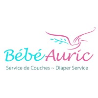 BabyAuric Cloth Diaper Service & Natural Baby Products logo, BabyAuric Cloth Diaper Service & Natural Baby Products contact details